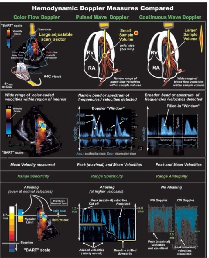 kazi ferdous tweet media