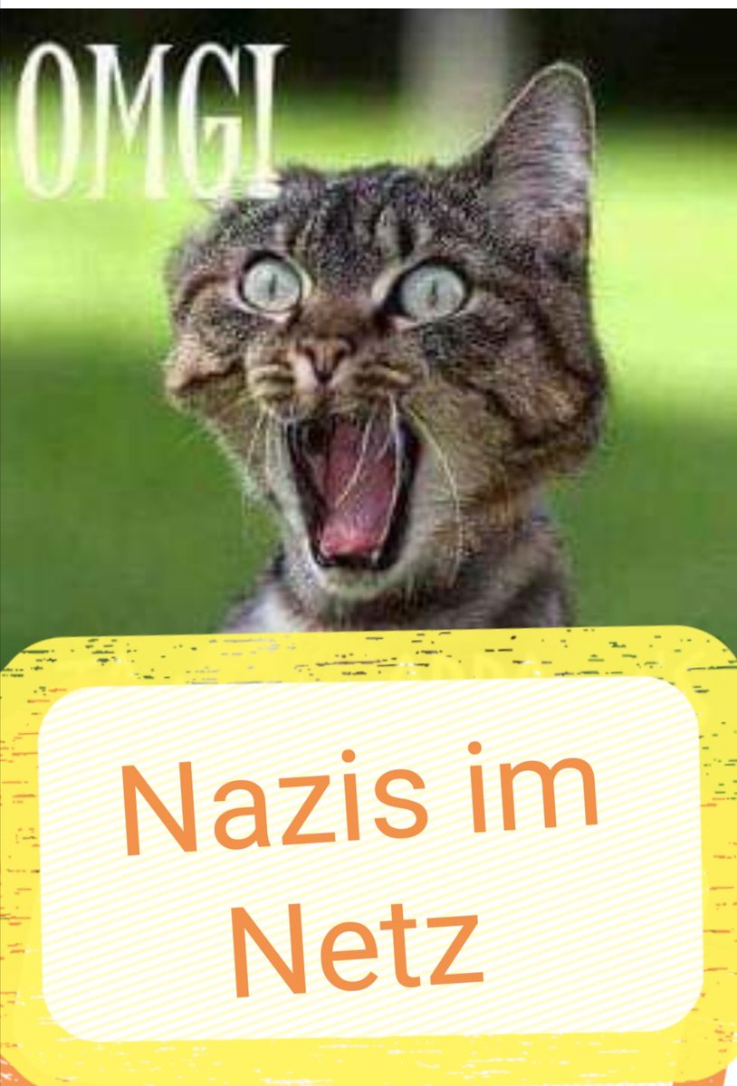 FlorianSchlund's tweet image. Guten Morgen!

Kein Platz für Rassismus in unserer Gesellschaft❗
Unter #systemexit wollen ein paar Nazis Hass verbreiten.... 
 
Dazu sagen wir: #fightRacism &amp;amp; #exitracism
#NoNazis #NoAfD
#NazisRaus
#gemeinsam #gegenRechts
#WirSindMehr