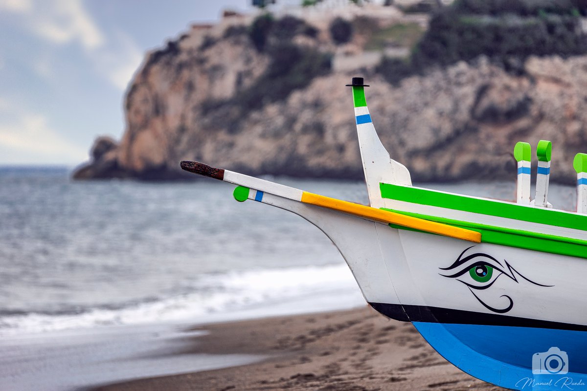 Zappa ۞ tweet media