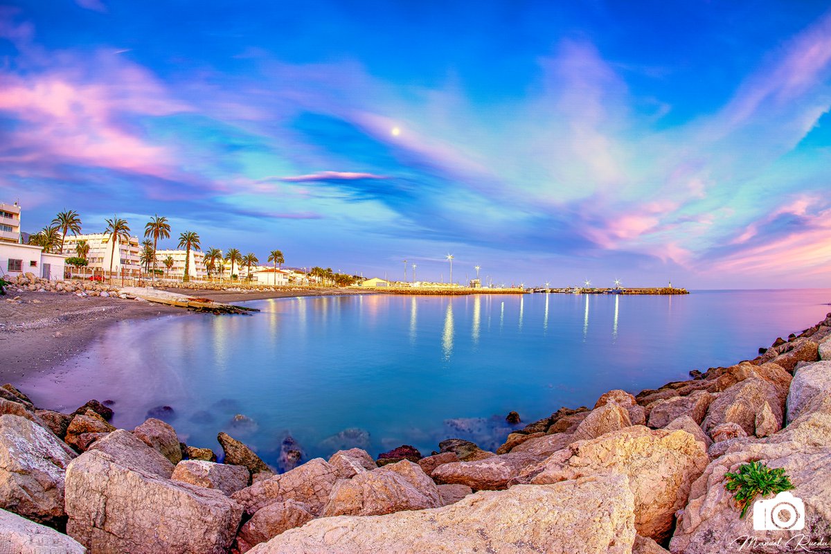 Zappa ۞ tweet media