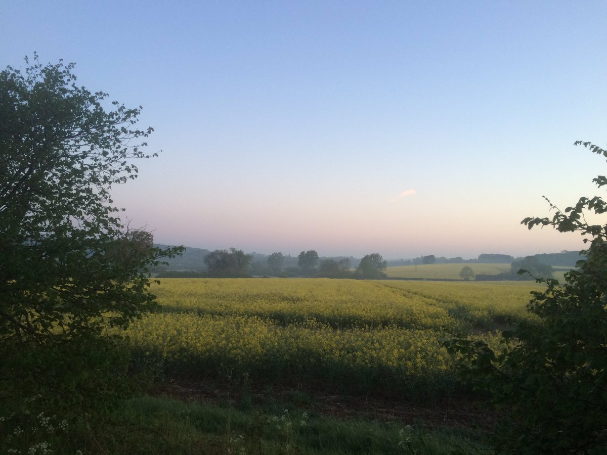 My early morning walk this morning. I’m very lucky to live close to the countryside, especially during these strange times. Whilst social distancing on your own can sometimes be difficult, I do enjoy the solitude of moments like this. 
#Sunday 
#Hertfordshire