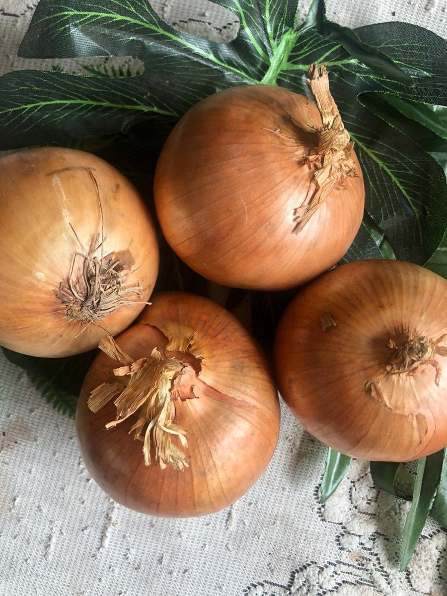 samThitan's tweet photo. Numpang cari rejeki, efek dari Covid 19.
Bismillah Open PO 
Bawang Bombay 34k/kg
Bawang Putih Cuting 38K/kg

Minat 081808200862 WA 
Pengiriman Paxel/Grab Same Day/ Gojek Same Day.
Terimakasih Bantu RT ya. https://t.co/9QV5jX3RF7