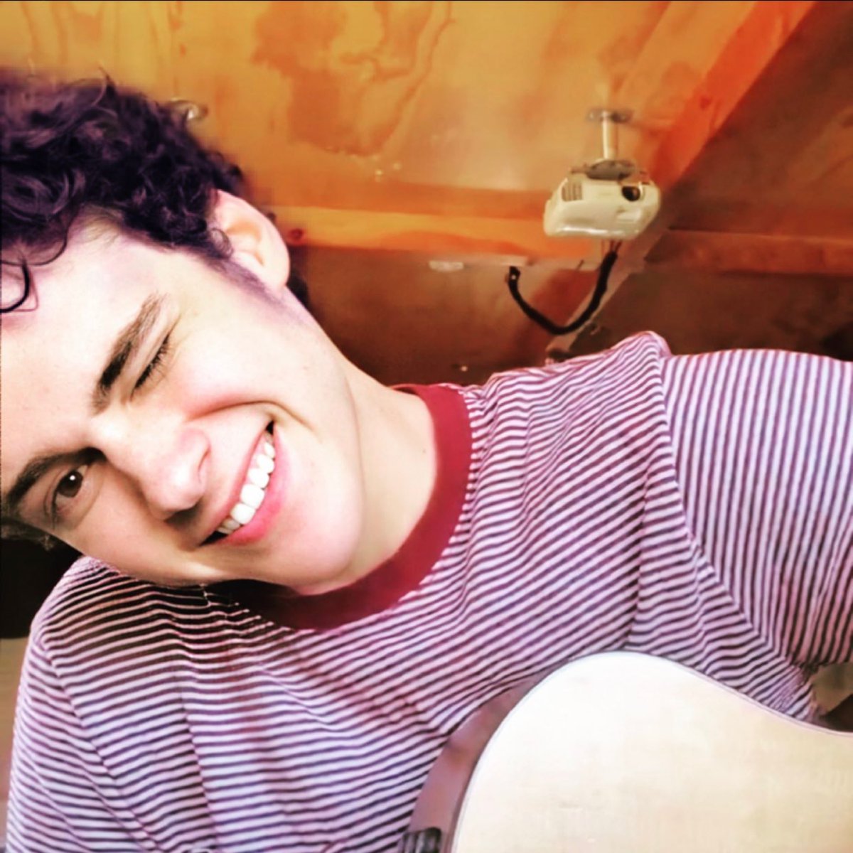 Ricky🐾 (@ricketybowes72) on Twitter photo 