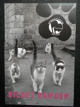 ThomasPWue's tweet image. Katzen #SystemExit #exitRacism