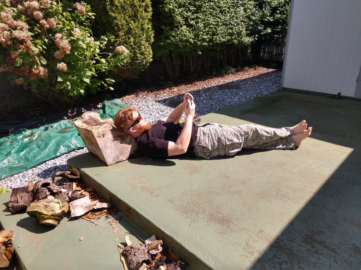 LokiDragon's tweet photo. Lazy liz, basking in the sun. https://t.co/g1u7o59KeK