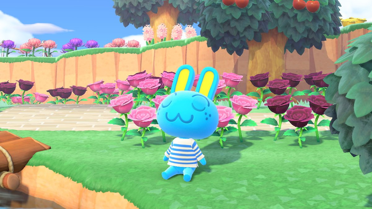 marshmallow_ari's tweet photo. Hopkins relaxing ☆★

 #AnimalCrossing #ACNH #NintendoSwitch https://t.co/LBV3uDY7oO