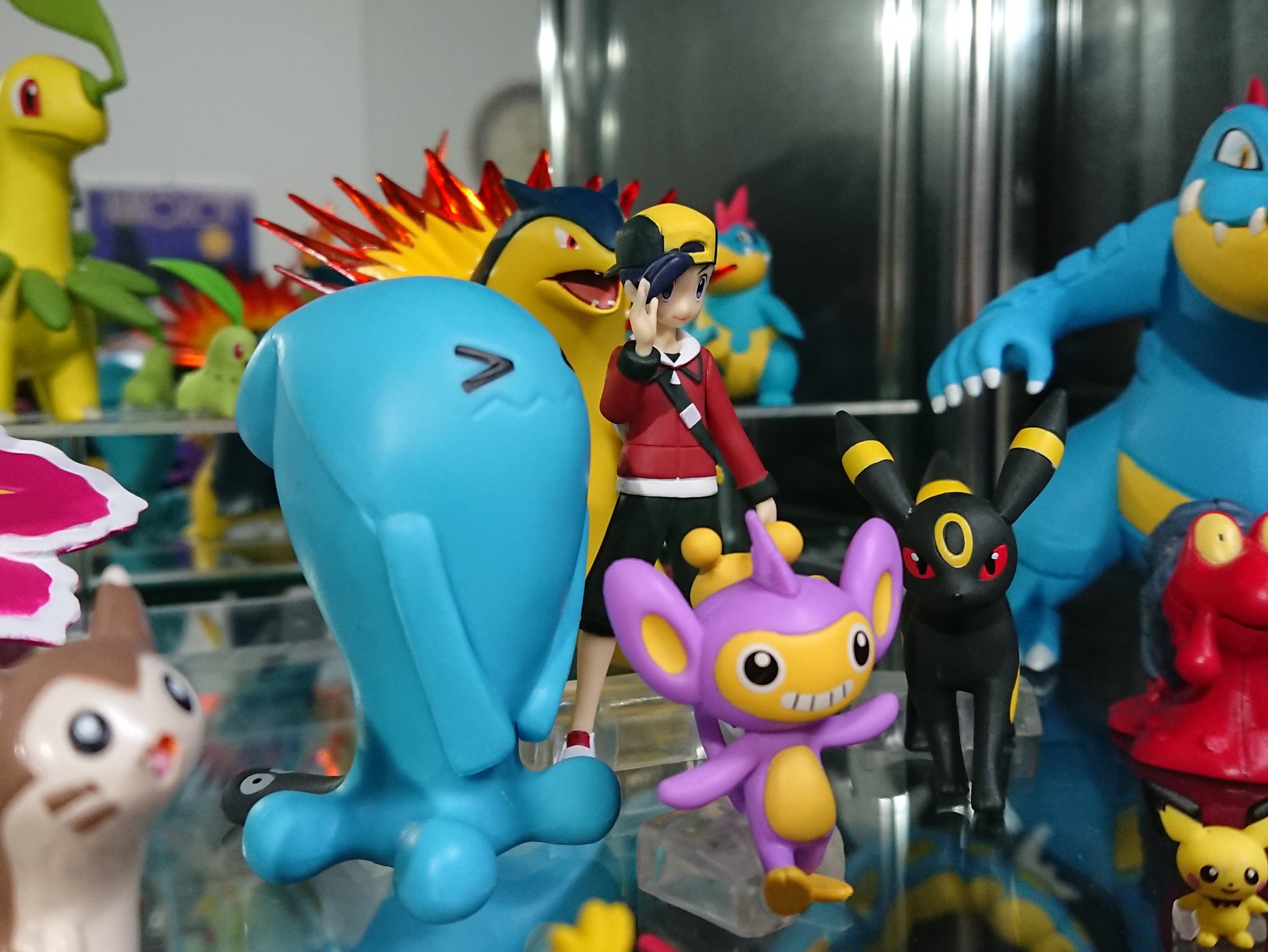 ポケモンスケールワールド　ドンファン進化組 ポケモンスケールワールドよりミライドン・コライドンが登場