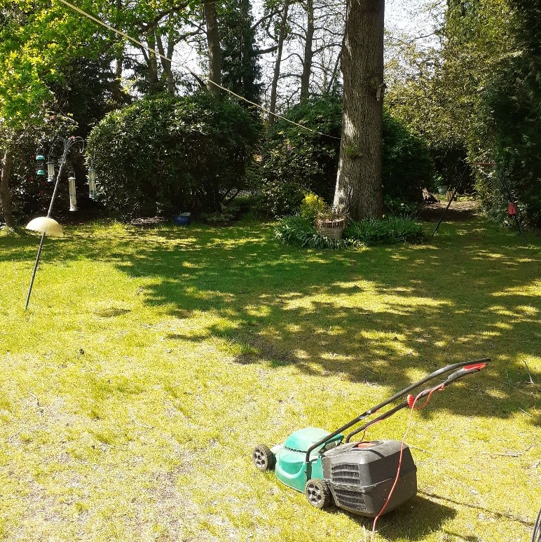 BluebirdCareWin's tweet image. It's the time of year where you want your garden looking its best, so our Social Care Worker Stuart has been stepping into the role of gardener!

One of his customers needed help with their lawn, so Stuart stayed on after his care visit to take care of it for him! 🌱💙