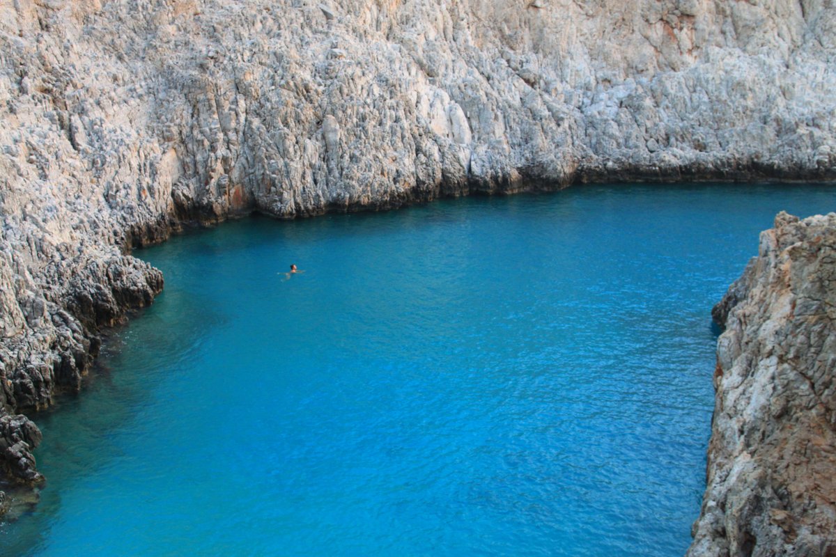 WildGuideGreece tweet picture