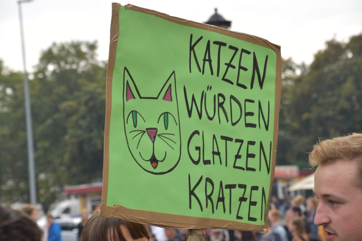 ThomasPWue's tweet image. Katzen würden glatzen kratzen!
#exitRacism #SystemExit