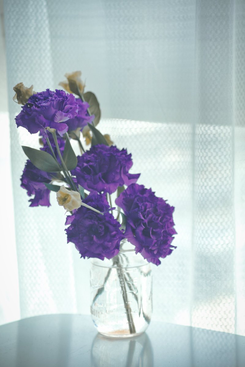 ট ইট র Ishigamekoudai Bndcreativestudio 今週のお花はトルコキキョウと菊です 週1でお花を買ってきては部屋に飾り 枯れてきたらドライフラワーにするため1週間つるし ドライフラワーが完成するというルーティンが完全に出来てしまいました Stay Home ট ইট র Ishigamekoudai Bndcreativestudio 今週のお花はトルコキキョウと菊です 週1でお花を買ってきては部屋に飾り 枯れてきたらドライフラワーにするため1週間つるし ドライフラワーが完成するというルーティンが完全に出来てしまいました Stay Home