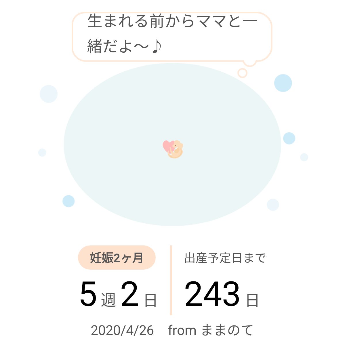 5週 5週