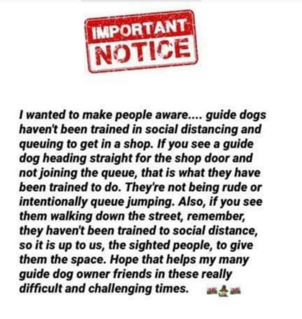 So important to remember! 
#Covid_19 #day30oflockdown #StayHome 
#guidedogs @guidedogs
@RCNStudents @GMB @theRCN @nmcnews @WeStudentNurse @StNurseProject @piersmorgan