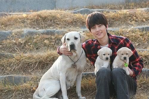  hearty paws 2 (2010) dong woo nominated - best new actor at blue dragon film he befriended, bonded and practiced scenes with the puppies & labrador maeumi