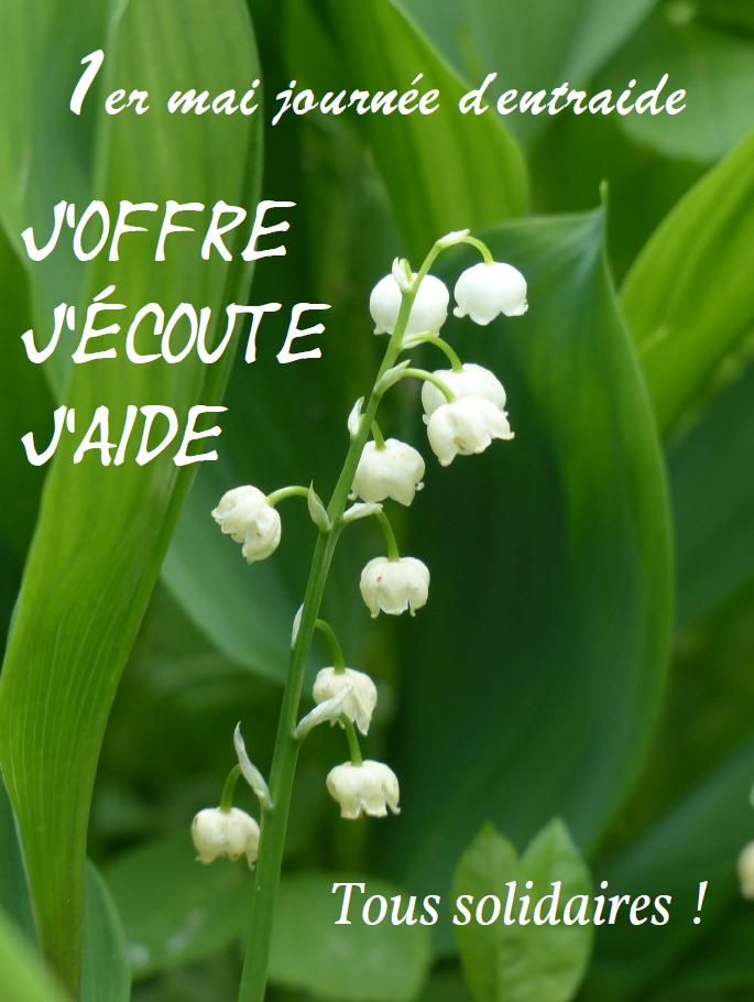 Personnesisolees Twitter Search Twitter