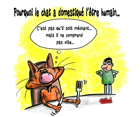 Tym Tym Cartoon Com Un Petit Dessin Leger Du Dimanche Ou On Apprend Pourquoi Le Garfilou A Appris A Parler Humain Chat Cats Humour T Co Wbtoaujew4