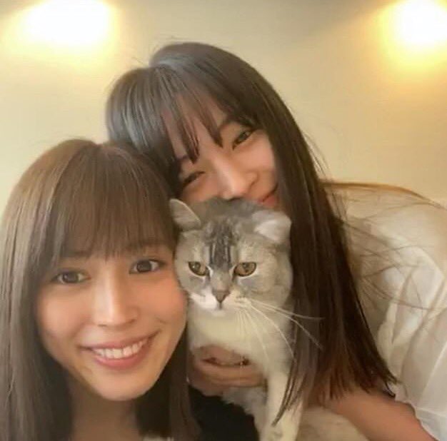 Hirose Sisters had a insta-live today, after 4 failed attempts A chaotic one hour with a live viewers of 105k. I'll sum up some of what happened on their live  #広瀬すず  #広瀬アリス  #広瀬姉妹