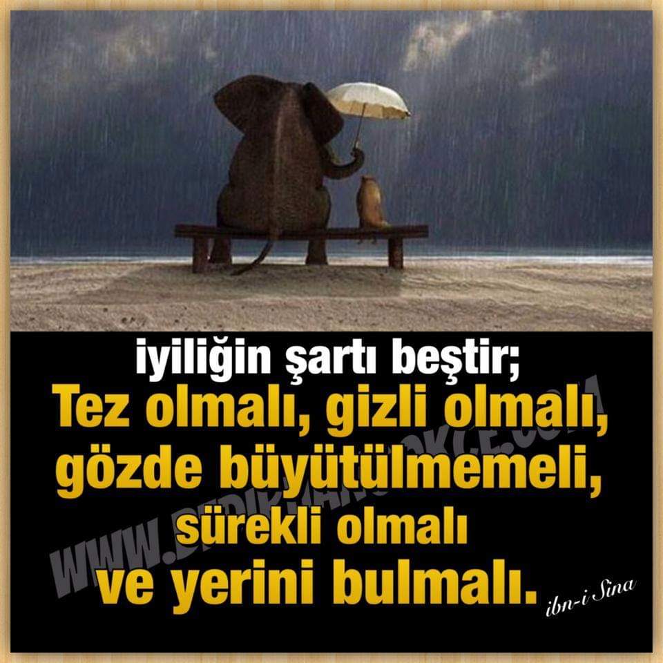 Fikret Akana (@fikret_akana) on Twitter photo 