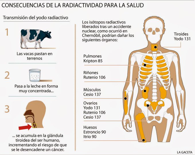 Del cóctel de radionúclidos que se liberó,los más importantes a nivel radiológico fueron los productos de fisión yodo131,cesio134 y cesio137 El primero tiene una vida media corta,de unos 8 días,pero tiene gran impacto radiológico sobre todo en la tiroides (vía  @muyinteresante )