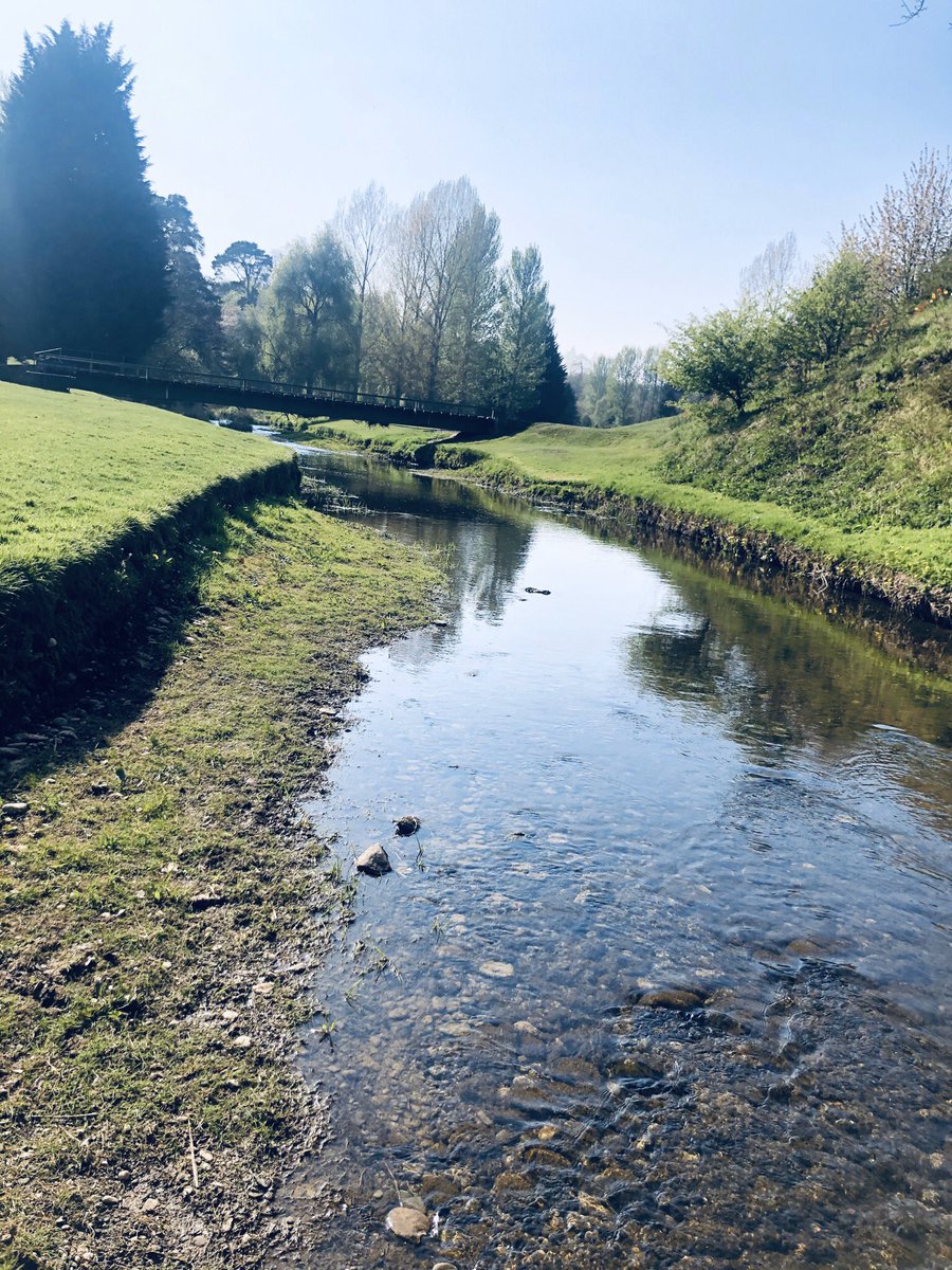HirselGolfClub's tweet photo. Few photos from the course today. 

We have skeleton staff in to keep up with general maintence so we are ready to play when it’s safe to do so.  

⛳️⛳️⛳️⛳️⛳️⛳️⛳️ https://t.co/RjvdcKPG6M