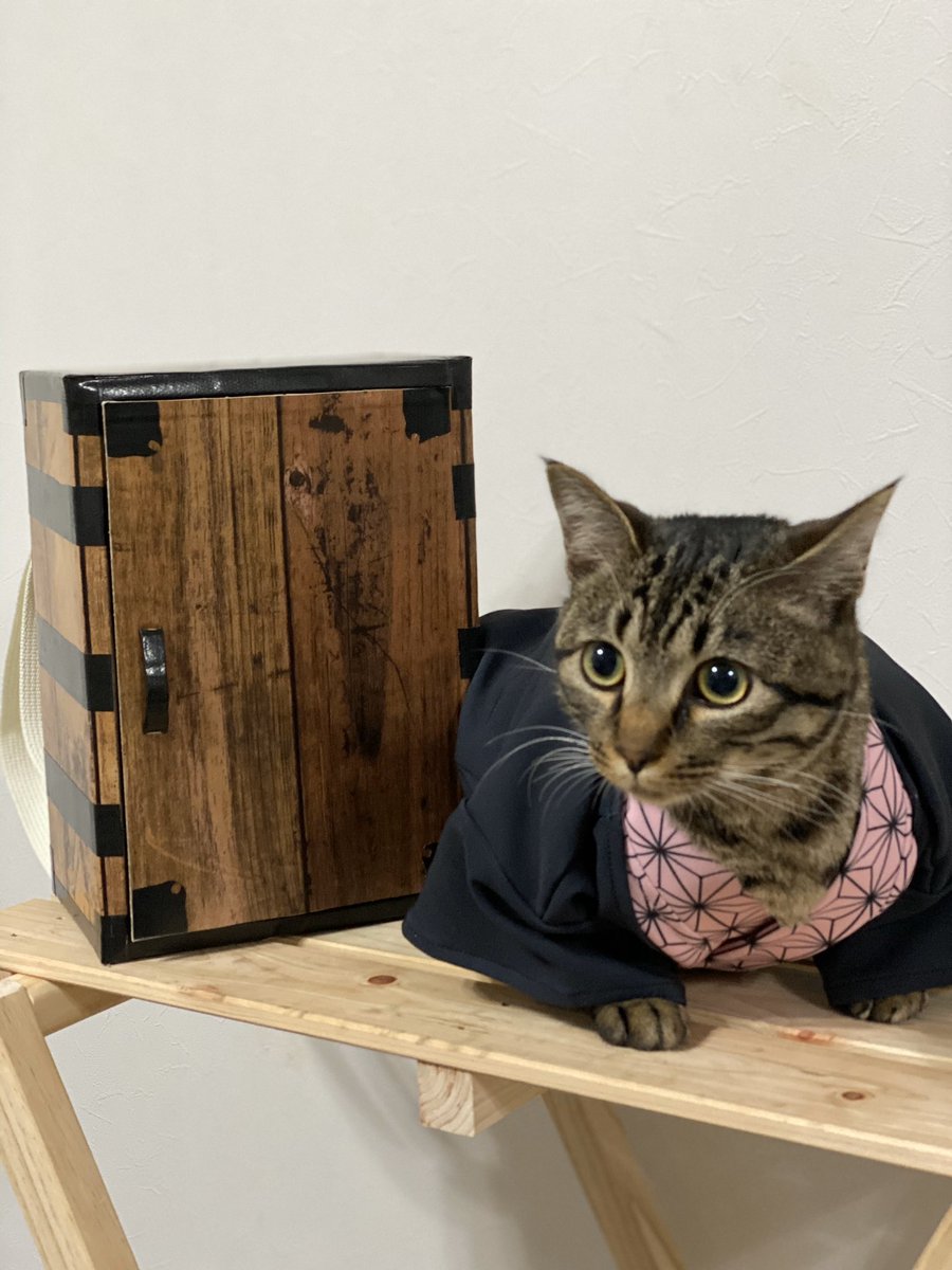 ট ইট র ムタさん シバーギー トトさん 猫 後は竹の口輪は必要ですよね W ট ইট র ムタさん シバーギー トトさん 猫 後は竹の口輪は必要ですよね W