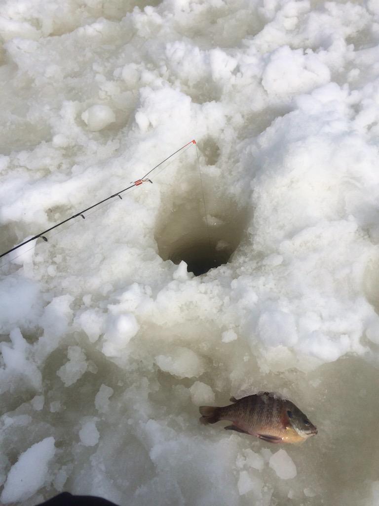 Angler is a man who spends rainy days sitting around on the muddy banks of rivers doing nothing because his wife wont let him do it at home. #fishing #spot2fish #fishing