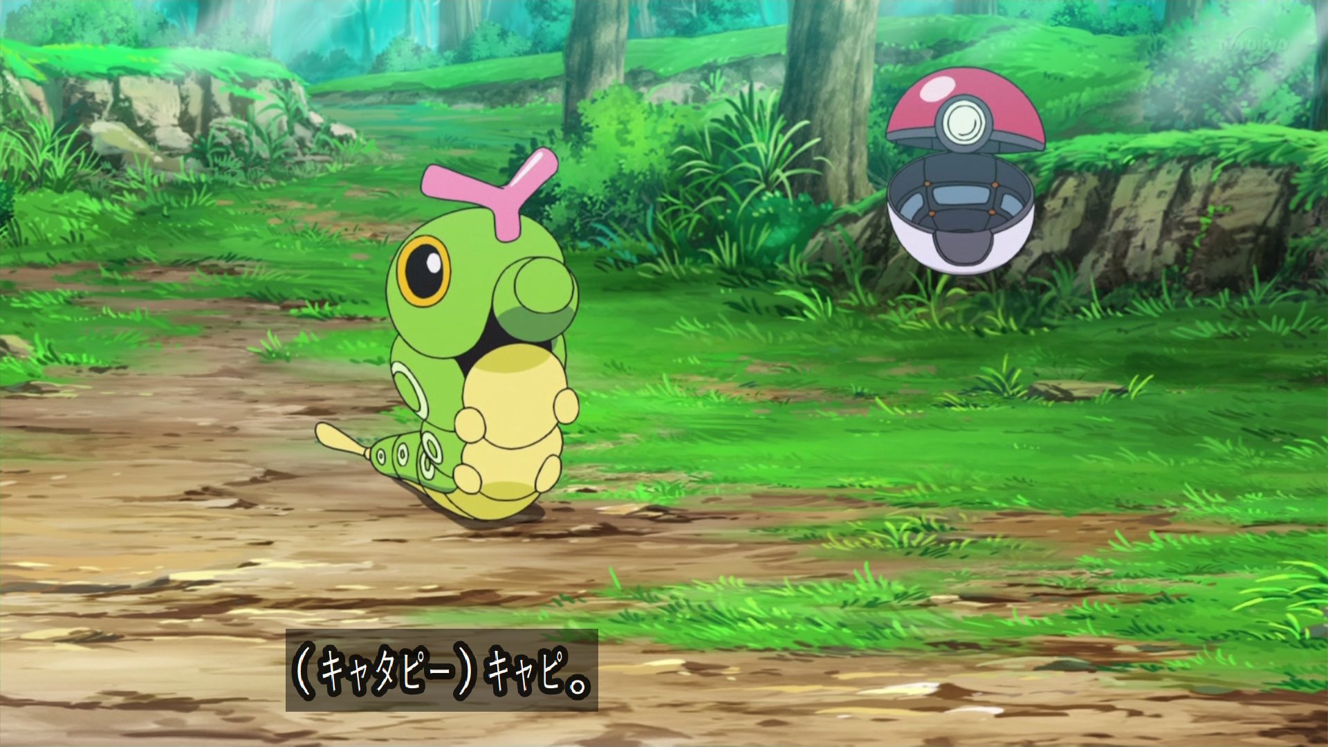 Uzivatel と ずん Na Twitteru ゲットシーン Anipoke Pokemon アニポケ T Co Bh0x4vbvrh Twitter
