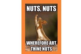 If like us, you’re all nuts about the goodness of nuts.. Look no further 👀.. Our delicious energy bites are packed with a whole lot of high quality nuts, seeds, dried fruit and superfoods... All handcrafted with love to offer you a gift of wellbeing.. 💝#beebs4all #sundayvibes😎