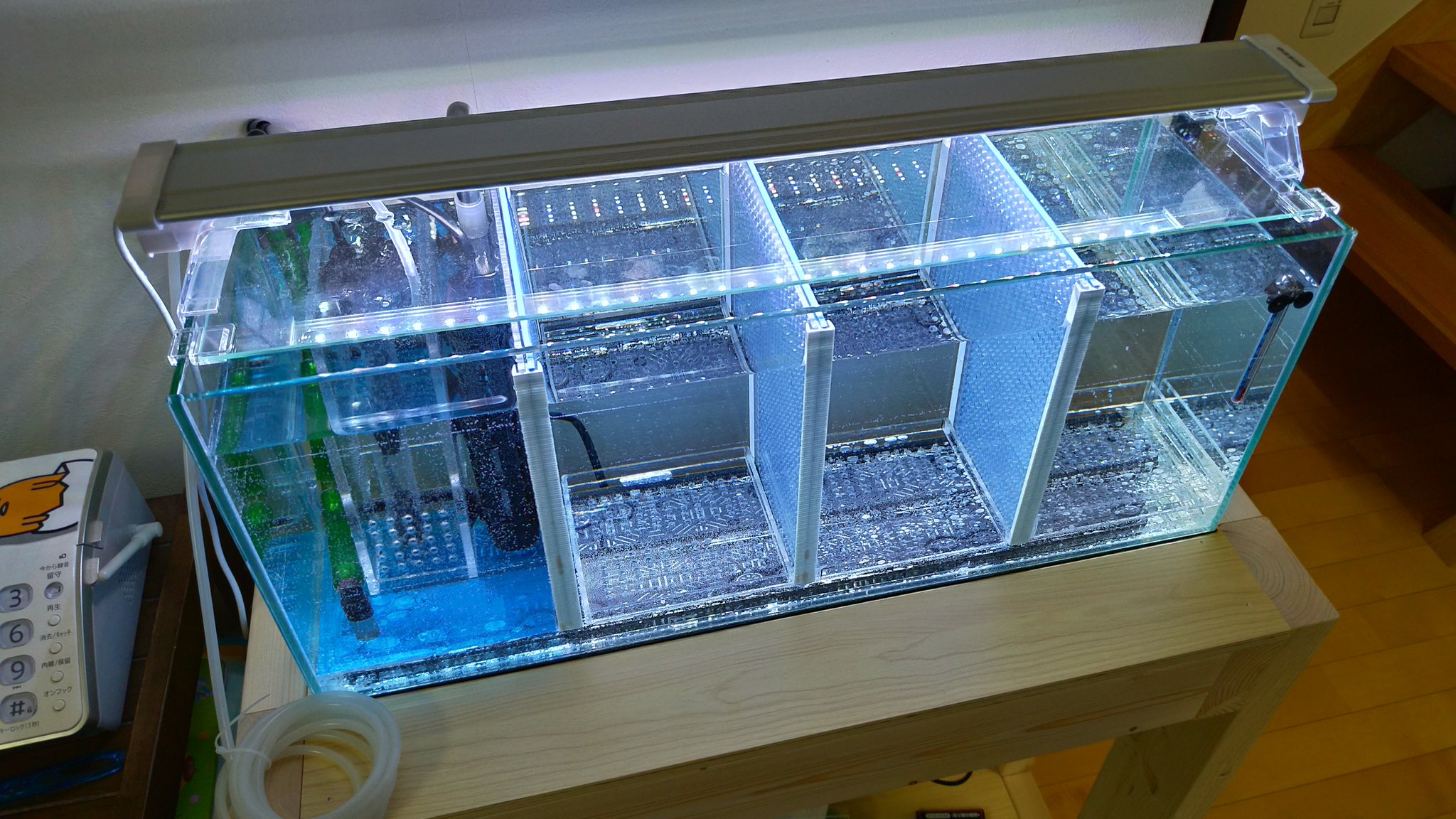 ざんくろ 副反応でポチリまくり 在 Twitter 上 とりあえず3時間運転して水漏れ等の不具合は無し ヒーターから一番遠い場所も水温25 で安定してるから水はキチンと回っていると思われ 冬場はサブヒーター考えるけど今の時期はコレでokでしょ W アクアリウム