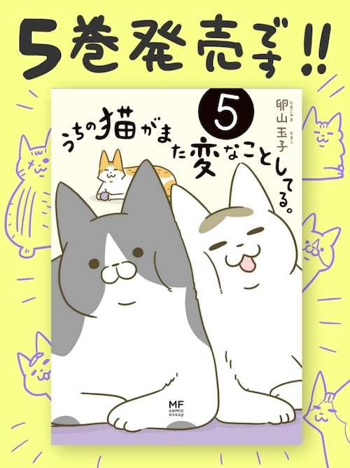 猫まんが「うちの猫がまた変なことしてる。」
おかげさまで6/4に5巻発売します。
よろしくお願いしまーす!!
https://t.co/Be9fMWxxvM 