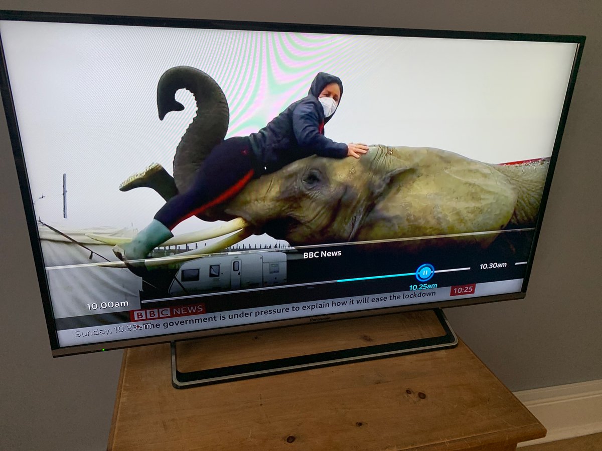 Gemma Grimley tweet media