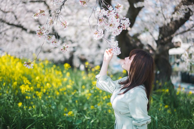 コスプレイヤー木漏日みけらのTwitter画像30