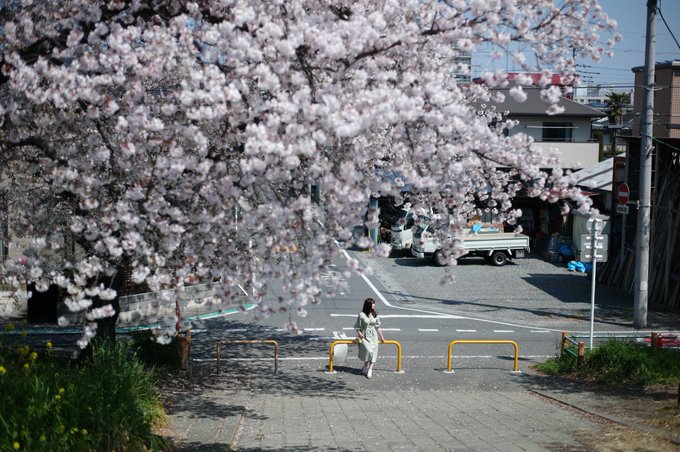 コスプレイヤー木漏日みけらのTwitter画像31