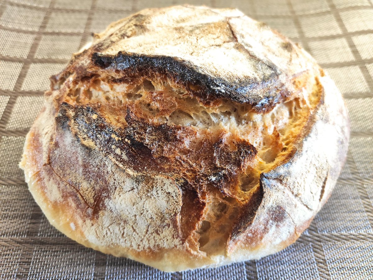 Margarida Solà ❤️🦋🍀🐾 tweet media