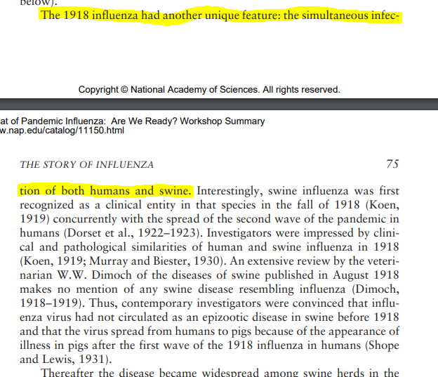 "The 1918 influenza had another unique feature: the simultaneous infection of both humans and swine. Thereafter the disease became widespread among swine herds in the U.S. midwest." That's interesting.