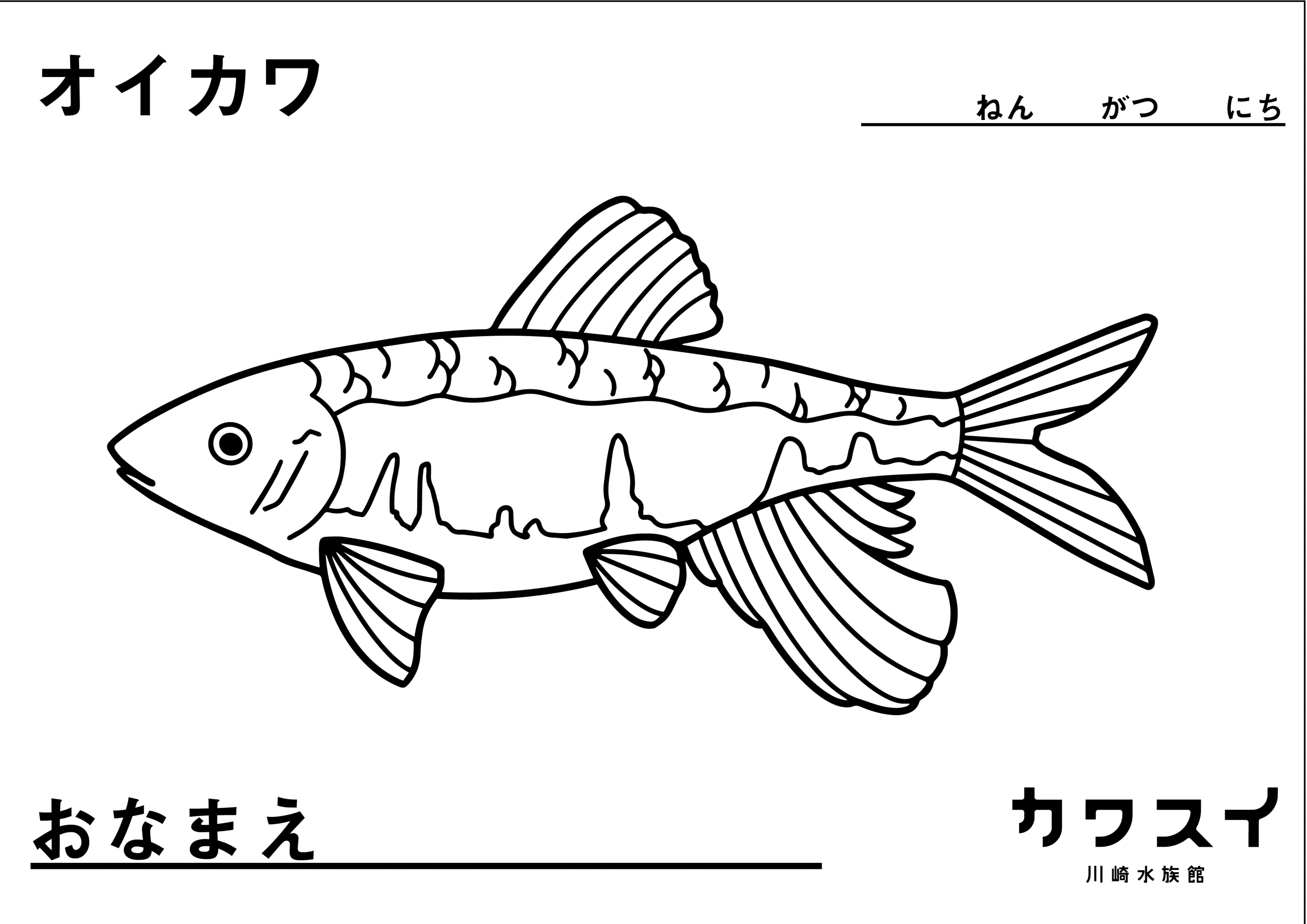 カワスイぬりえ Twitter