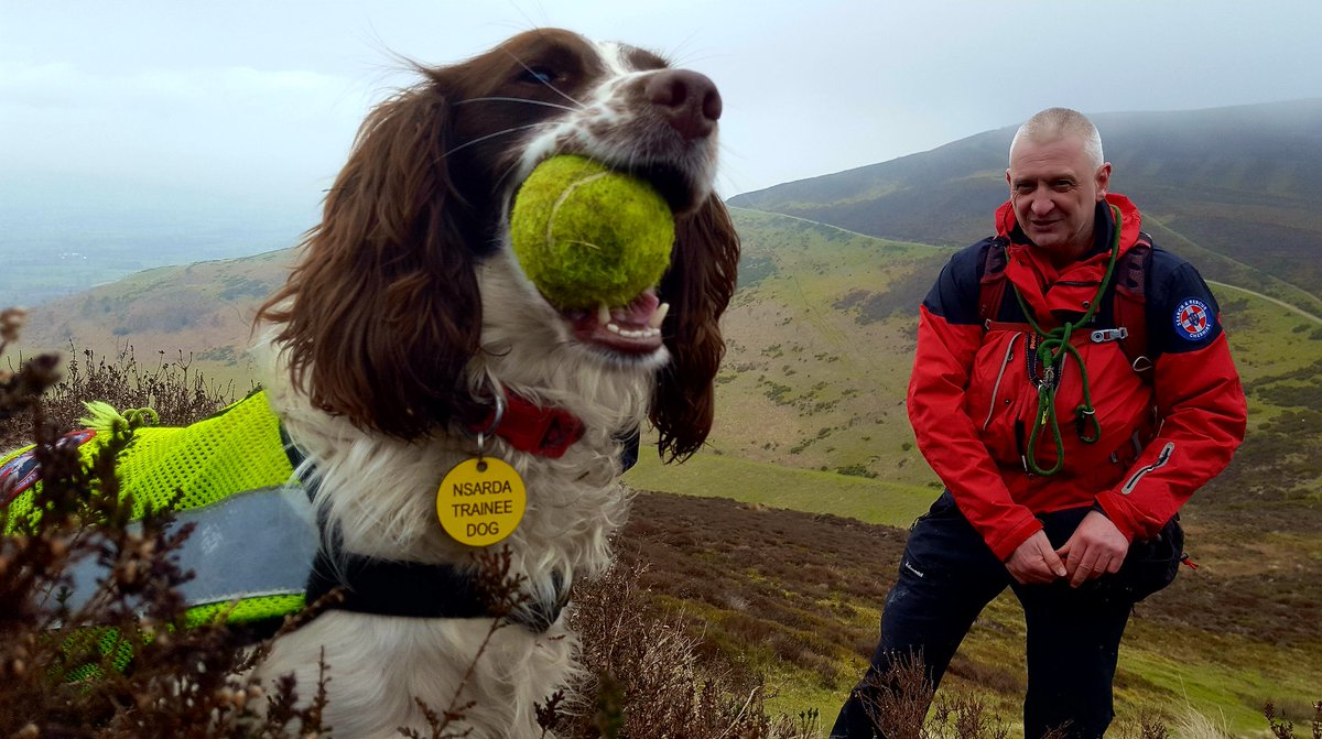 International Search Dog Day today so thought I'd share a few of my favourite photos from a Dogsbodies point of view..

#SearchandRescueDogs 
#SearchDogs