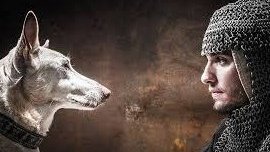 Etienne de Bourbon rapporte l'histoire d'un chevalier du 13e s, à Lyon, qui rentrant de la chasse vit le couffin de son bébé renversé, l'enfant introuvable, et la gueule de son chien ensanglantée !
Horrifié que son chien ait mangé son fils, il le tua d'un coup d'épée !
Puis...
⤵️