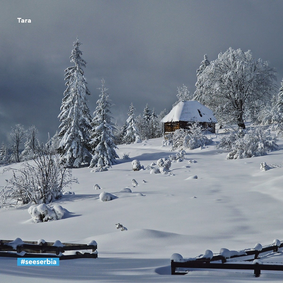 잘나가고 (@jalnagago) on Twitter photo 