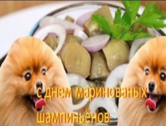 younglorrrrrd's tweet image. Eeeee 
NIcè muShRoOom
#mushrum