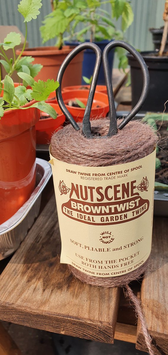Loving my #nutscene garden twine! Consistent gauge and comes in so many different colours #gardentwine #twine #jute #sustainable #GrowYourOwnFood