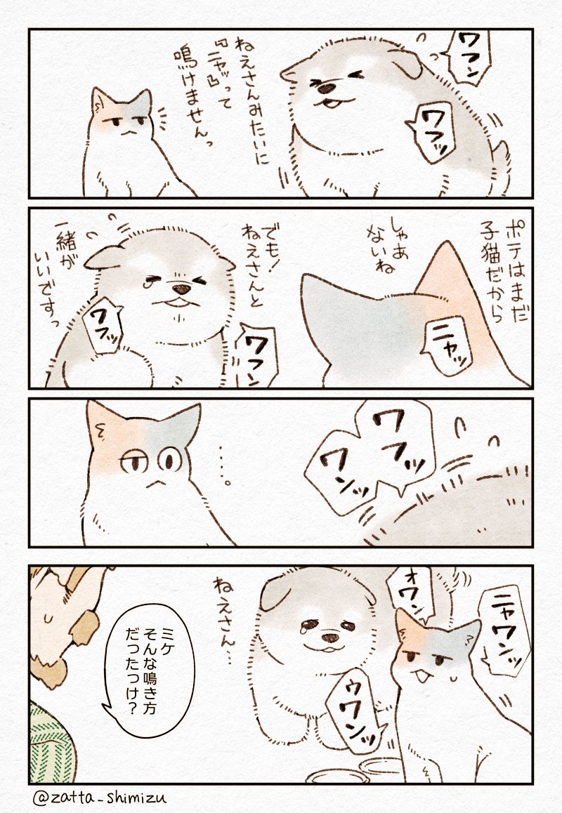 アラスカンマラミュートの弟と三毛猫おねえちゃん
ちょっとだけ続きました?☺️ 