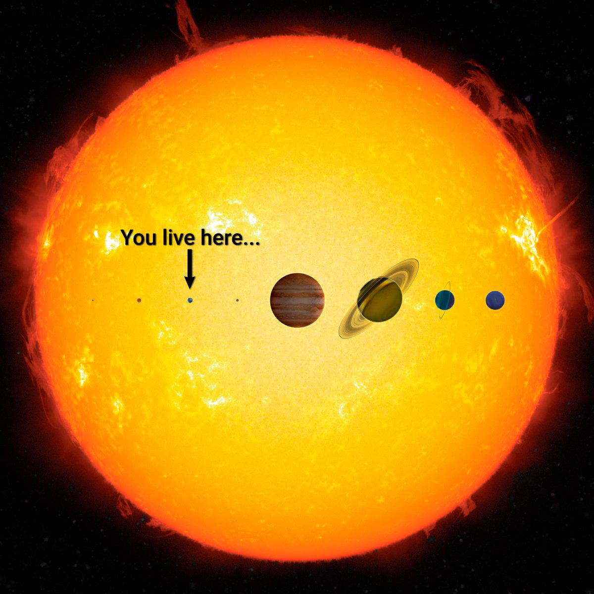 wonderofscience's tweet image. A gentle reminder.