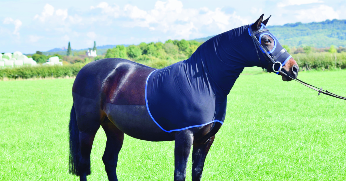 Whilst the sun is now shining, but it can still be a little cold, a Show Hood is a great item for helping keep the chill off your horse or pony. #horse #pony belvoirrugcompany.com/equine/