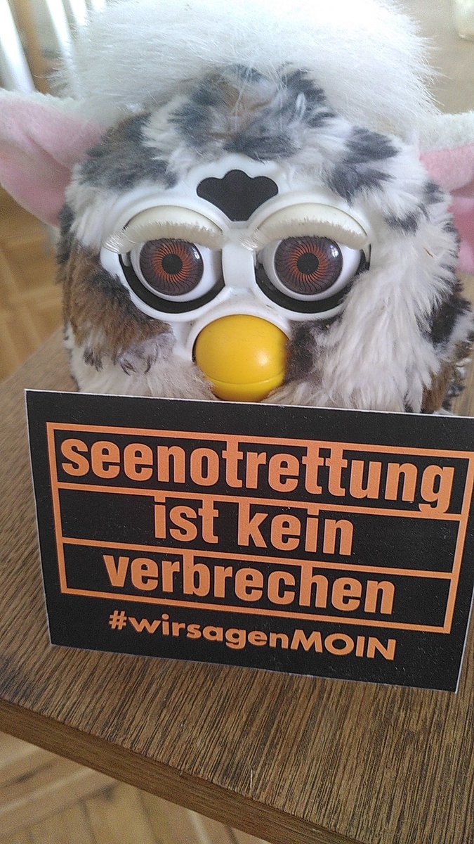 BambergKiba's tweet image. #SystemExit #furbysgegenrechts #furbysfürseenotrettung
#leavenoonebehind #exitracism