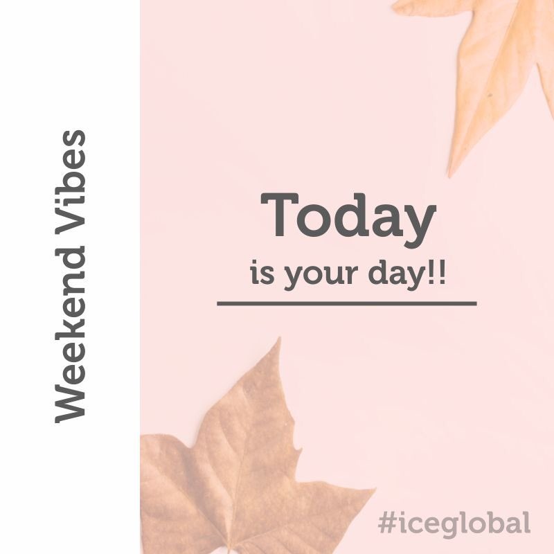 Ice Global tweet media