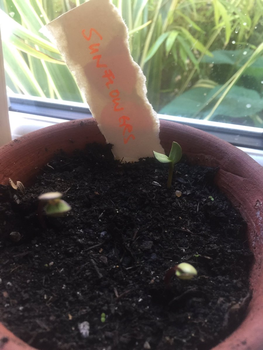 suefreshfocus's tweet photo. Day 1 #PhotosOfMyLife

A pic a day for 7 days. No people, no explanations. Nominate 1 person per day. 

Today I nominate @joward https://t.co/Nxdtv3krVf