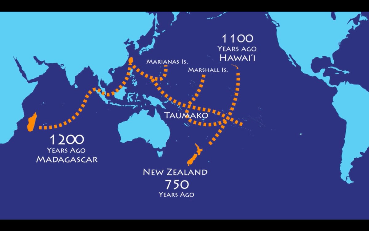 As the intergenerational knowledge and technology improved, the fleets of waka finally reach Madagasikara, Hawai'i, and Aotearoa (also known as New Zealand). The European colonisers-explorers haven't reached the South Pacific yet.