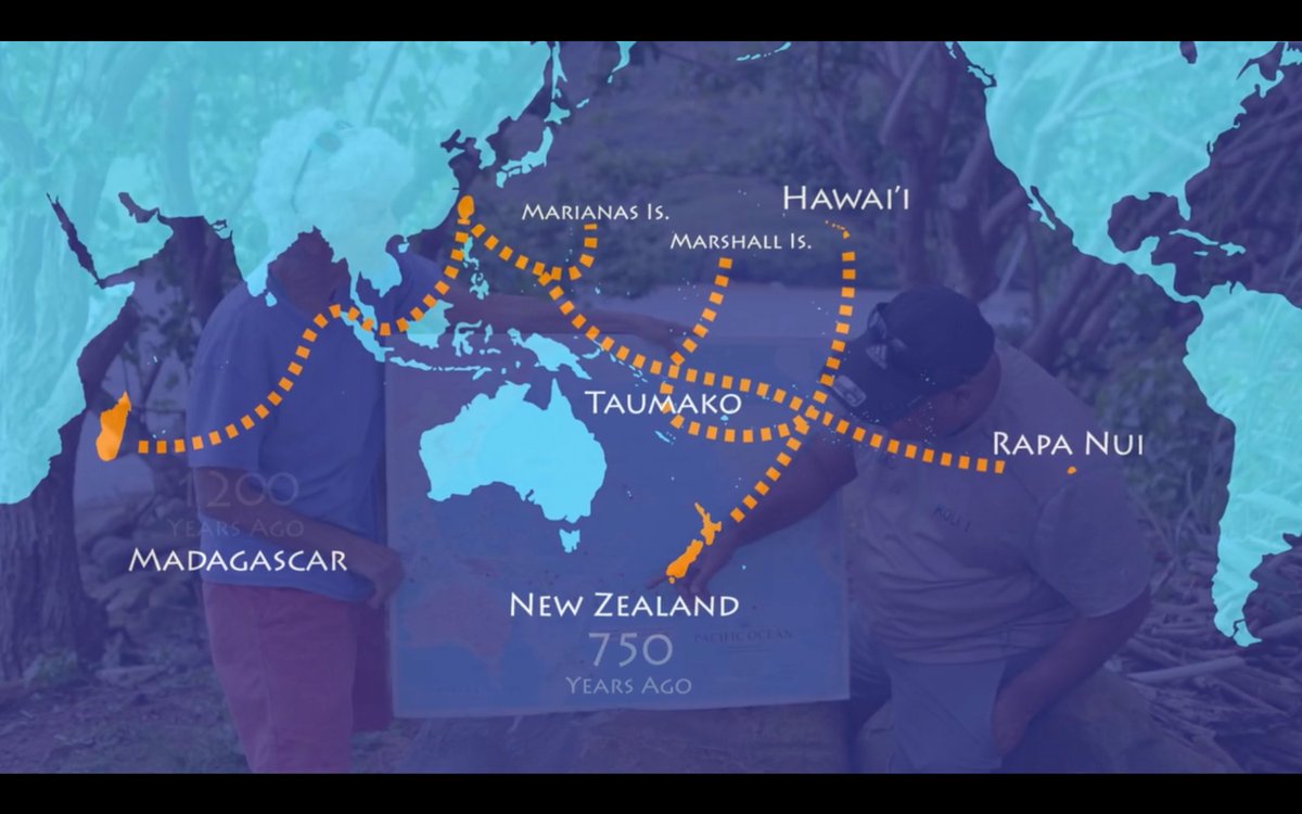 Indigenous peoples of the Pacific continue east to Rapa Nui (Easter Island), and possibly to South America. Return voyages from Rapa Nui to South America were probable due to the kumara (sweet potato) present in both Polynesia and S. America.