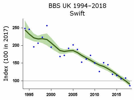 Unthinkingly though, we are blocking these birds out of their nesting places. Renovation works rarely consider the needs of swifts, so these most site-faithful of birds often return in May to find their holes gone. Swift numbers in the UK are falling steeply /9
